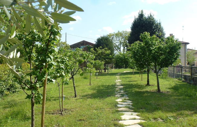Modern Accommodation, Just Renovated, Private Garden, Wifi, Near Treviso - Photo 19