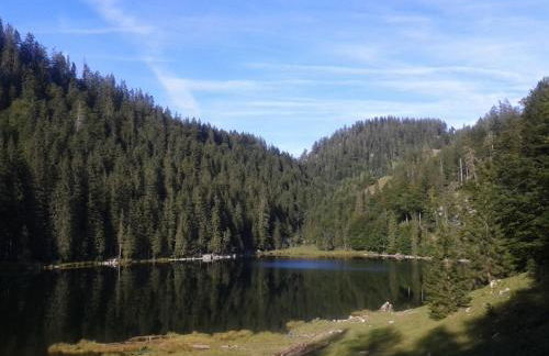 Landhaus Bellecôte - Foto 39