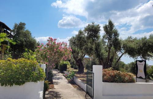 Studio Popi - Foto 7