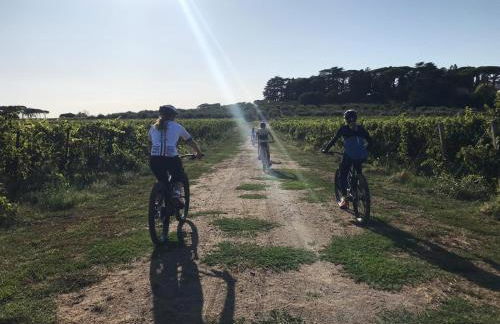 Villa Cavalletti - Foto 59