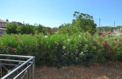 AGIOS LEON APARTMENT 1 - Foto 23