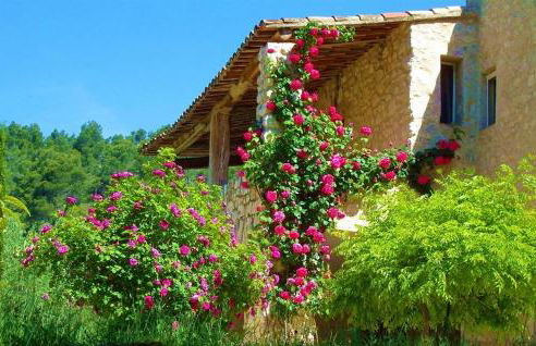 Le Mas Sérénité - Foto 40