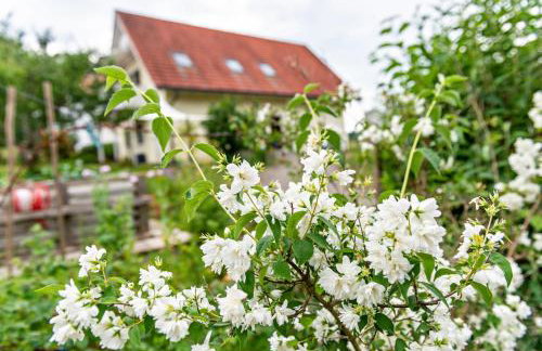 Beutenmühle Straussenfarm Dach - Photo 29