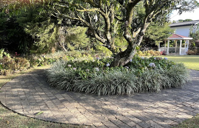 The Blossoms - Photo 39