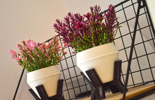 Almyra Studio - Foto 16