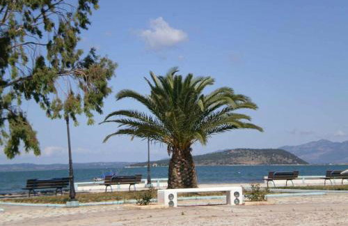 Koronisia Apartments - Foto 45