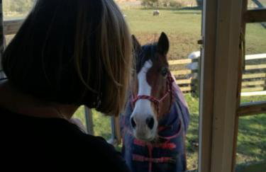 Owls Nest Log Cabin - Foto 15