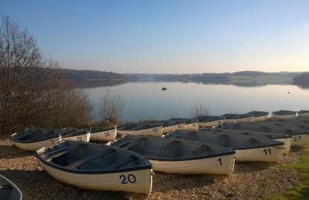 Light Filled Country Home for 14 in the High Weald near Hawkhurst - Foto 45