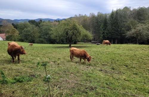 Maison de Vacances - Foto 19