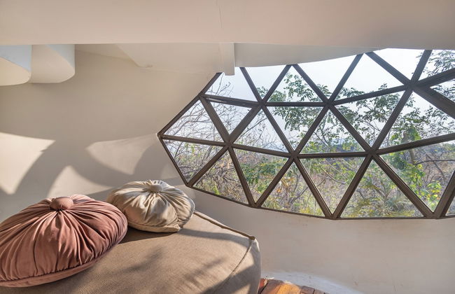 Bosque Geométrico - Foto 17