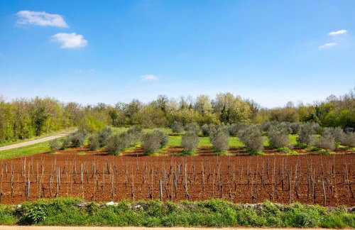 Villa Lente - Foto 28