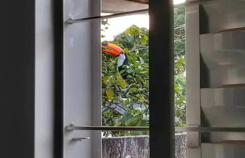 Casa Victour, localização privilegiada - Foto 17