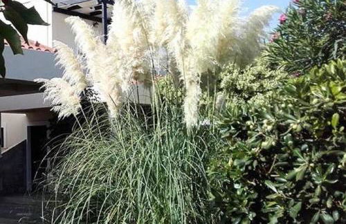 Aigialis Apartments & Studios - Foto 58