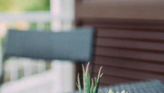 Villa Sarah - Foto 3