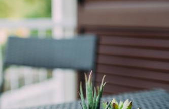 Villa Sarah - Foto 3