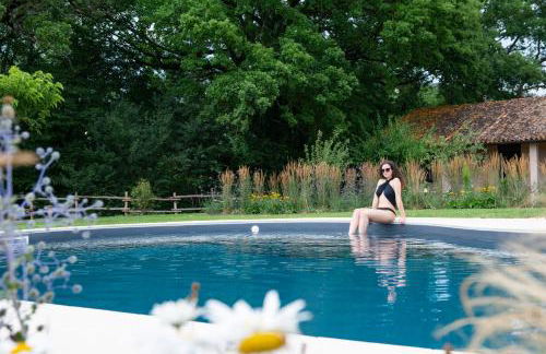 Fonte Flavia - Foto 10