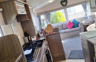 The Hummingbird - Photo 8