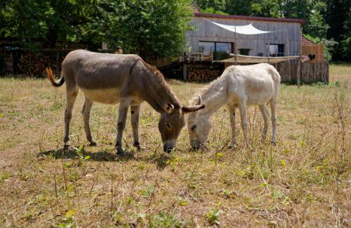 la meyrolette - Foto 27