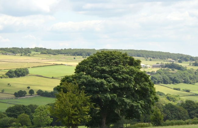 Padley Farm - Foto 75