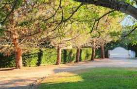 Détendez-vous à Montverdun - Foto 21