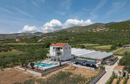 Family harmony - Foto 17