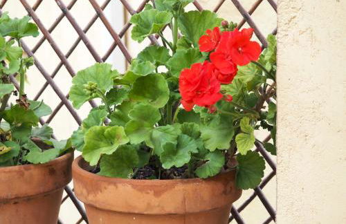 Casa De Nohales - Foto 25