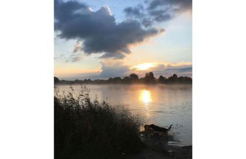 Dandelion Modern Retreat - Foto 31