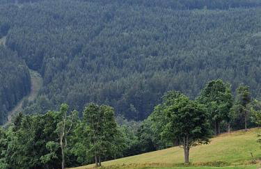 Nad Strumieniem - Foto 38