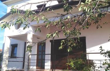 Apartment Narcisa with Terrace - Photo 12