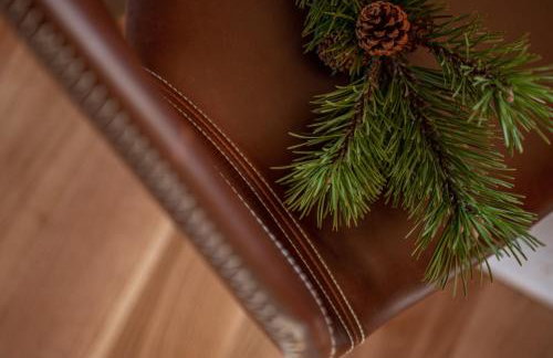 NA SKRAJU LASU domki z balią, jacuzzi - Foto 36