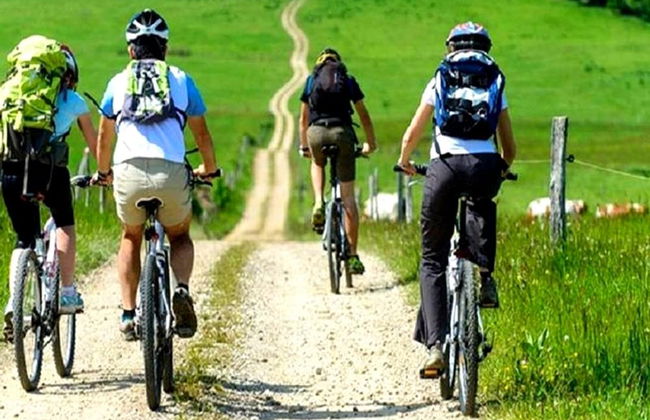 La Grange de David - Foto 49