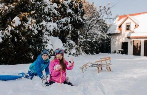 Wiśniewski Apartamenty pod Szczyrkiem - Foto 55