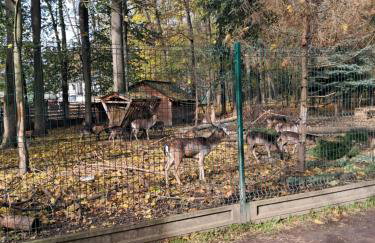 Noclegi Mieszkanie Kuchnia Żywiec - Foto 31