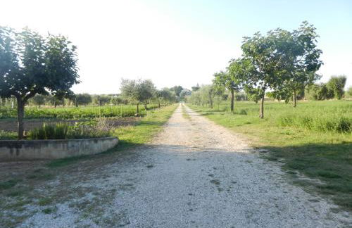 Il Gheriglio - Foto 16