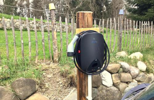 Holstein-Höfle - Gipfelstüble - Photo 24