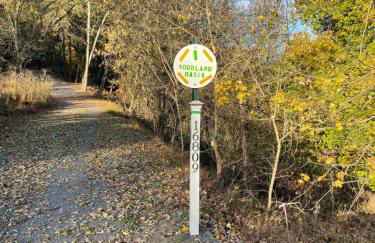 Woodland Oasis - Foto 8