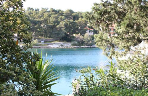 Mama's & Papa's house - Foto 20