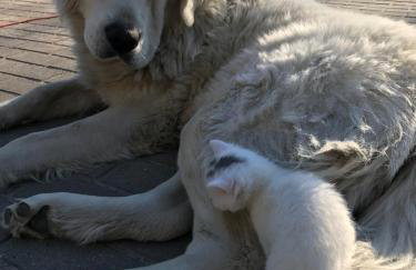 Agroturystyka nad stawami - Foto 14