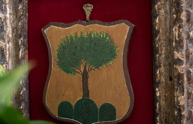 Agriturismo Il Casanova - Foto 49