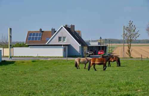 Flammerie - Hoferstraße 30c - Foto 32