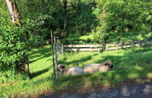 Waldbauernhof - Foto 11