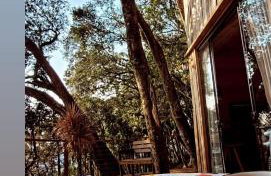 Cabana Rústica com vista para as Montanhas - Foto 15