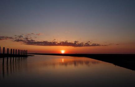 NORDSEE Bauernhof Familie Wulff FeWo "Südfall" - Foto 20