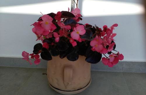 Alkioni's Nest Apartments - Foto 69