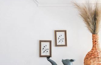 Leśne Zacisze Radawa II - Foto 12