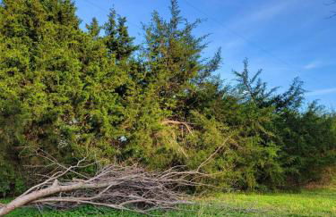 Grandma's House at Rosewood Lodge - Foto 50