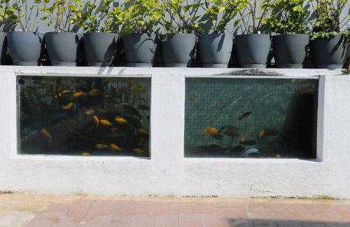 Jungle Paradise - Foto 53