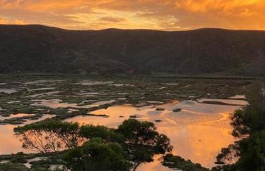 Herdade d'Amoreira Rosmaninho Studio - Foto 69