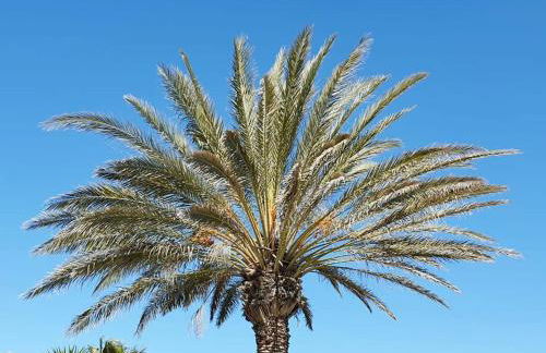 Il Canneto di Selinunte - Foto 13