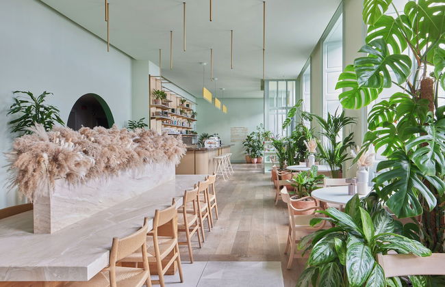 Eden Locke - Photo 7